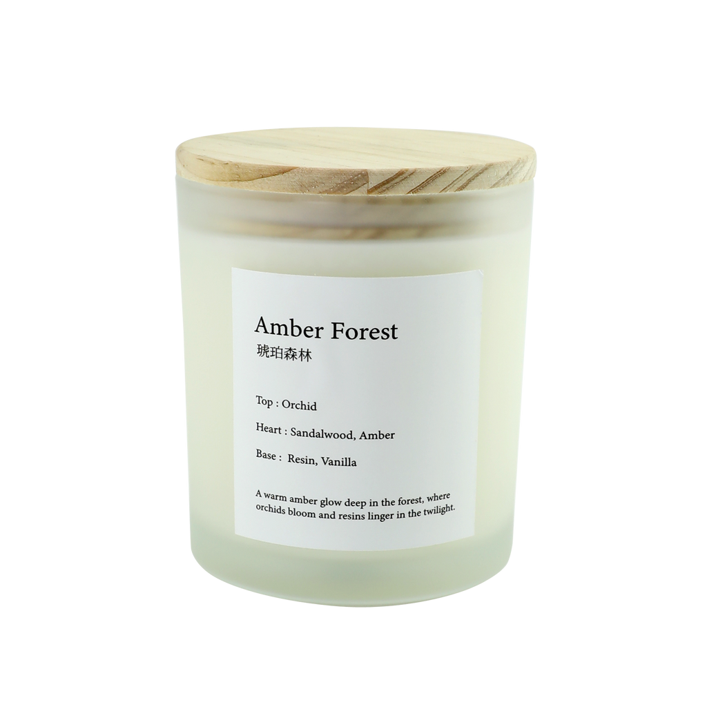 Amber Forest 琥珀森林