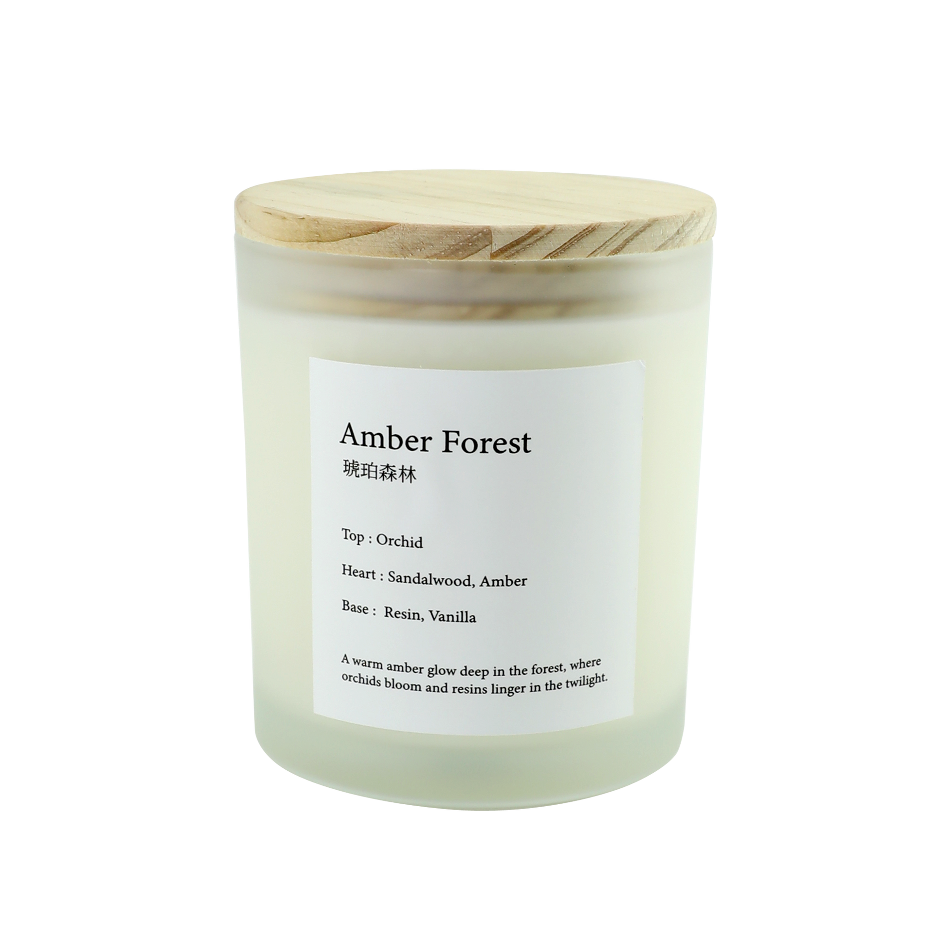 Amber Forest 琥珀森林