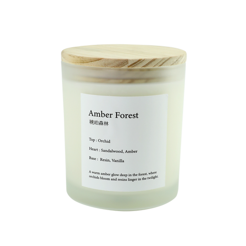 Amber Forest 琥珀森林